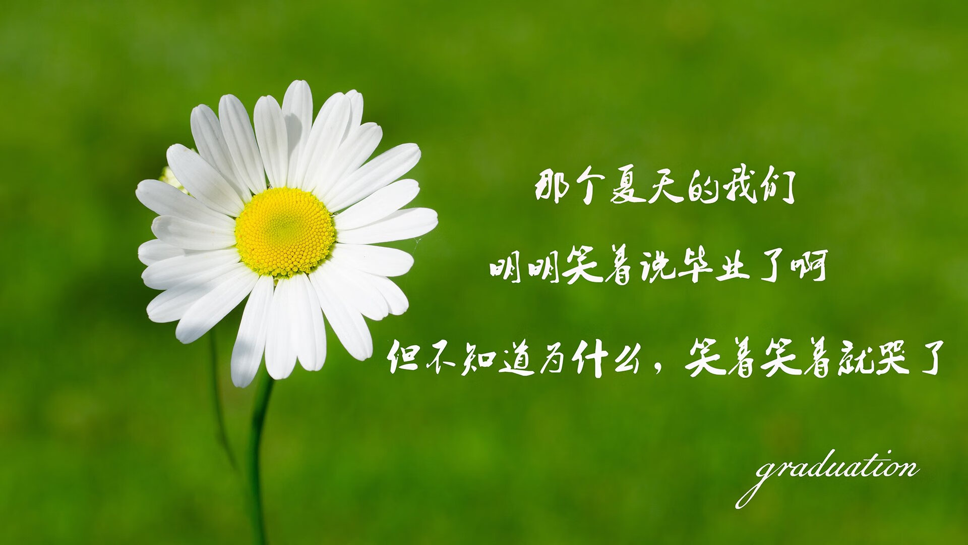开云·体育官网-FaZe推出LOL虚拟形象互动产品，lol虚拟偶像新英雄