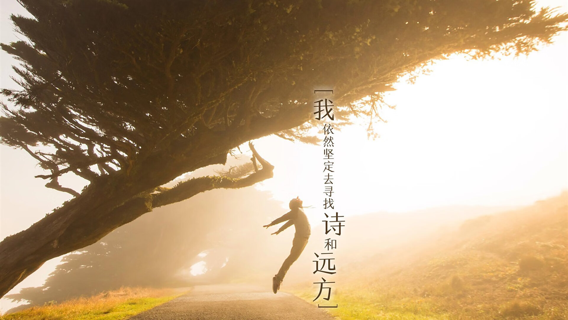 开云官方网站-塞尔维亚女足战绩不佳,小组垫底淘汰,塞尔维亚 男足