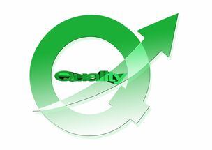 kaiyun官方网站-德甲防守战术调整对中场控制力的影响分析，德甲中场球员