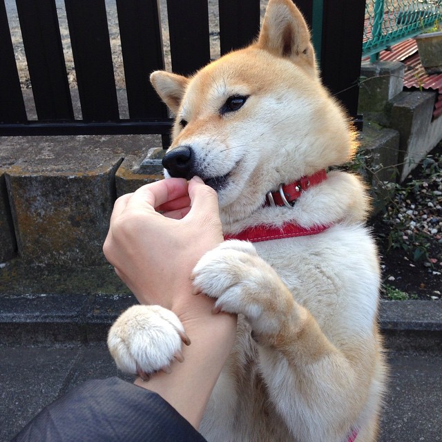 篮球专项体能训练中的恢复策略研究，篮球专项体能训练方案