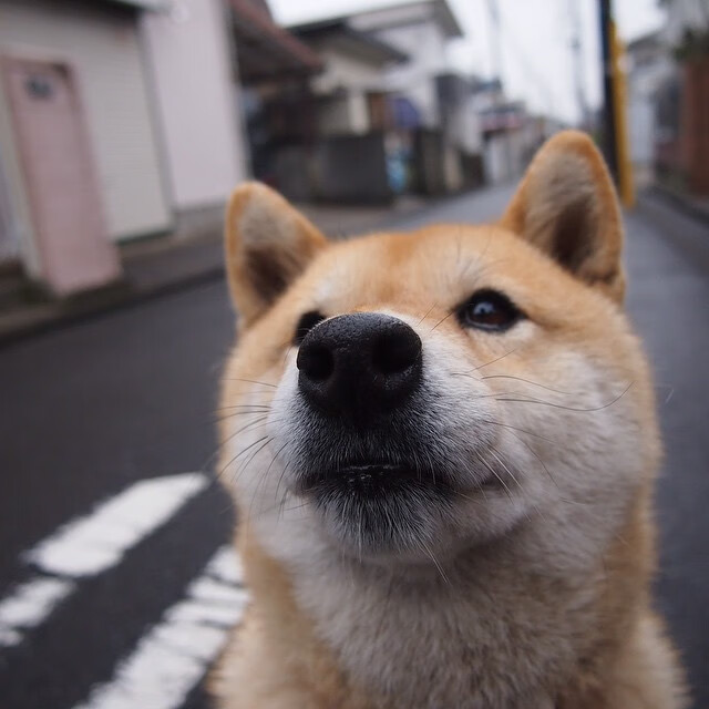 “自由搏击热血沸腾,四川省体育馆迎来强者对决”