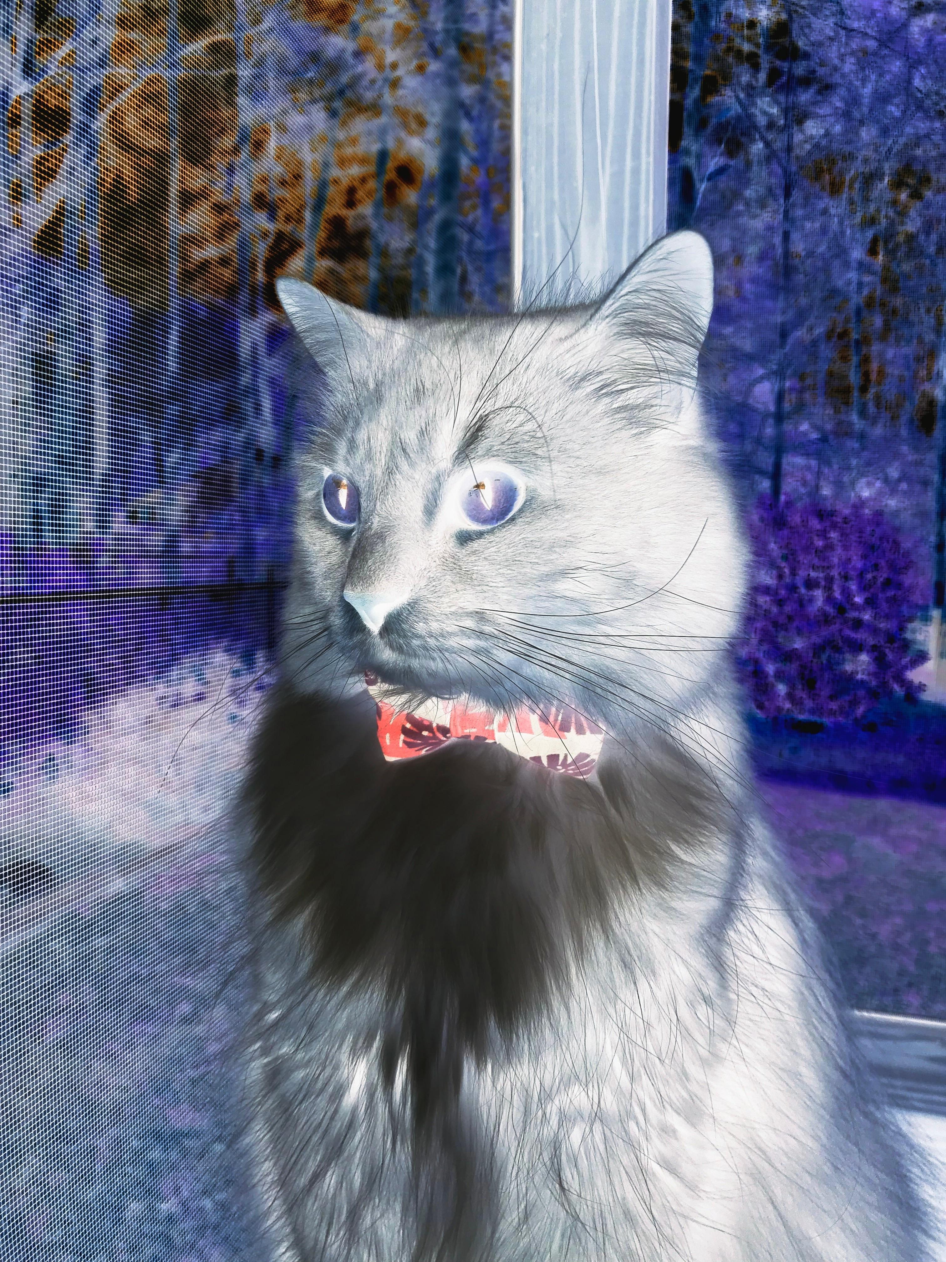 kaiyun登录入口-中国男篮在对抗中强化控球稳定性，中国男篮现役控卫排名