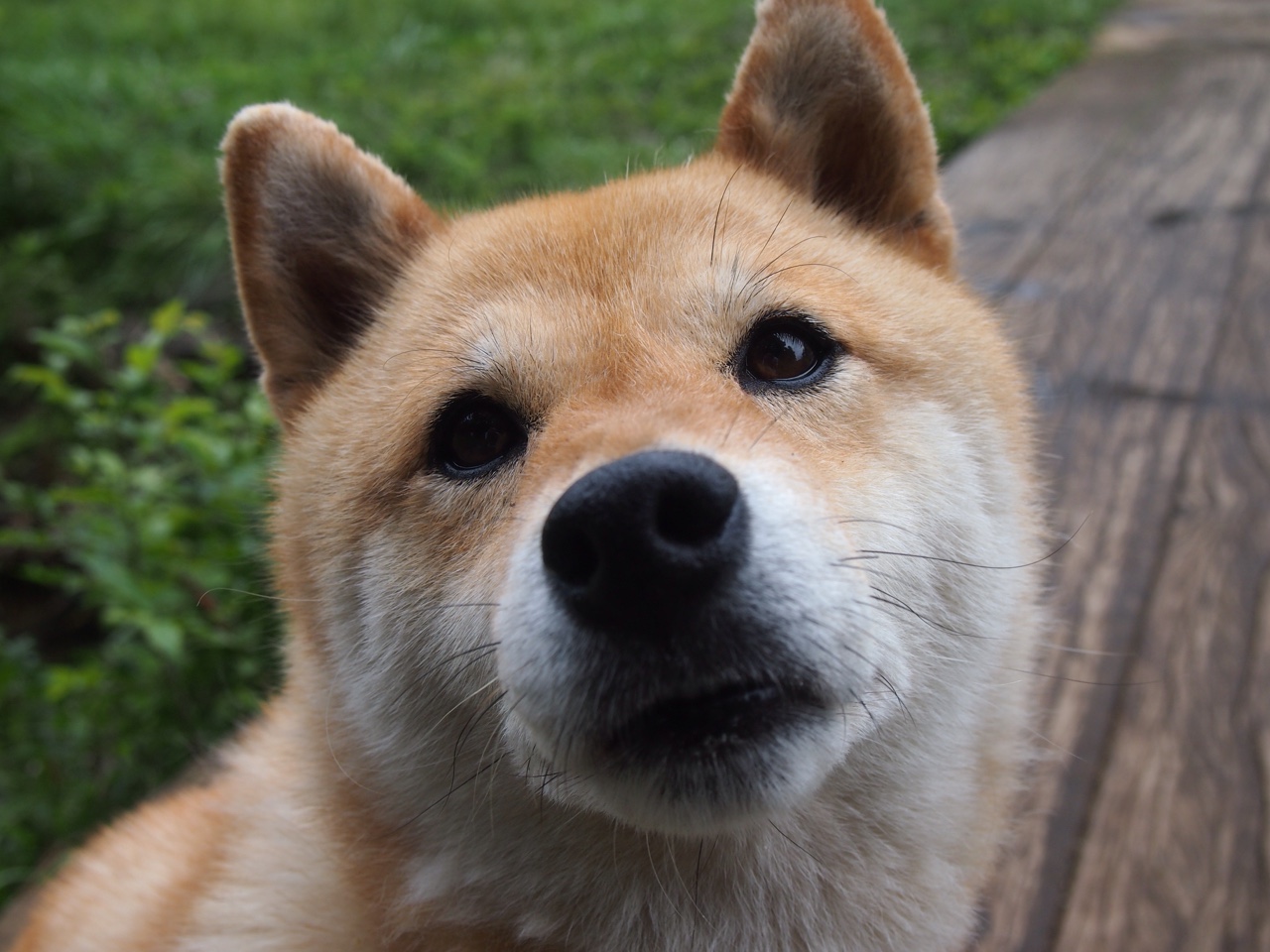 周鹏告别国家队留下宝贵经验与精神，周鹏当过国家队队长吗