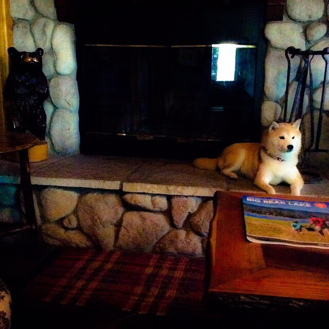 女子接力反超澳洲惊险夺冠，女子接力回放