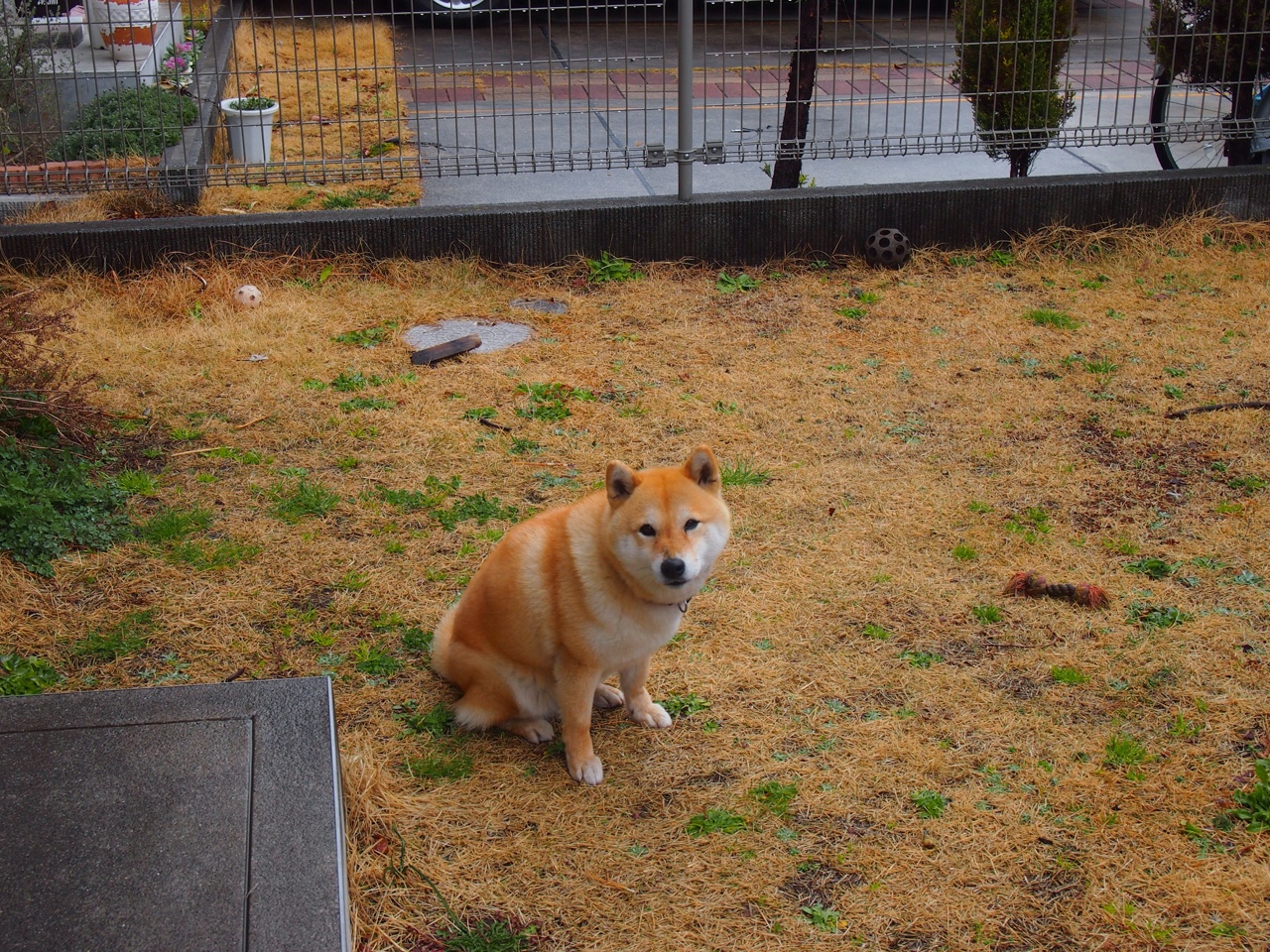 得分能力不稳定是否是季后赛隐患，得分能力强