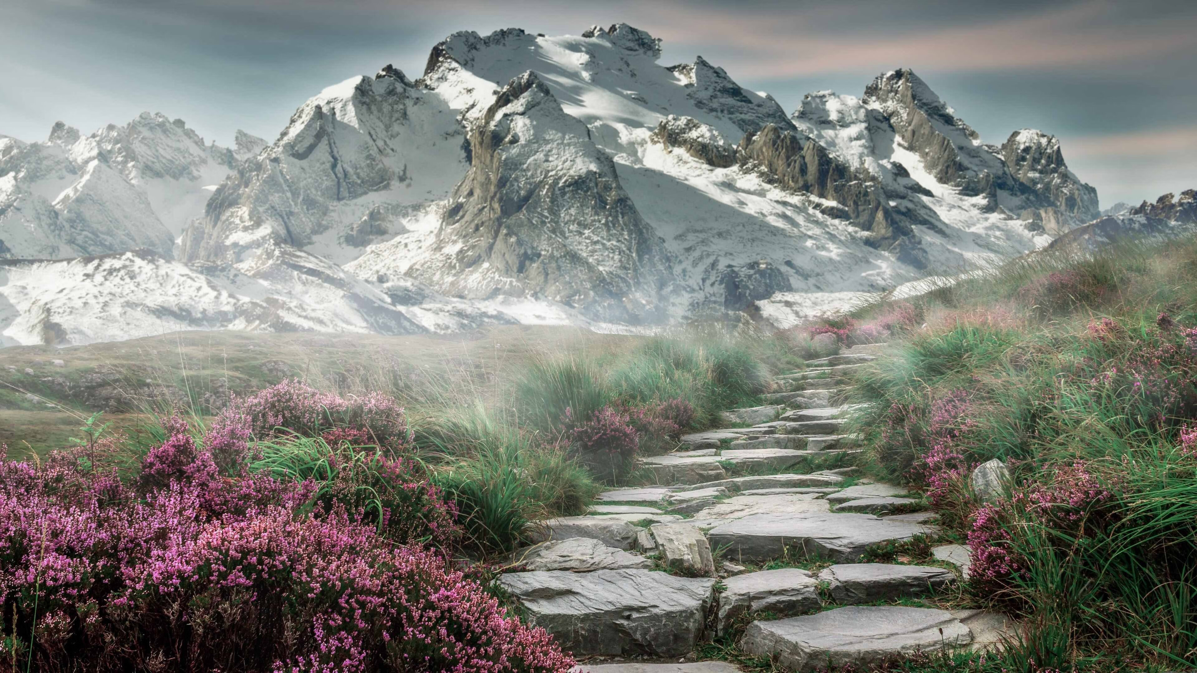 国家滑冰中心发布全国青少年花滑等级考核标准，花式滑冰考级