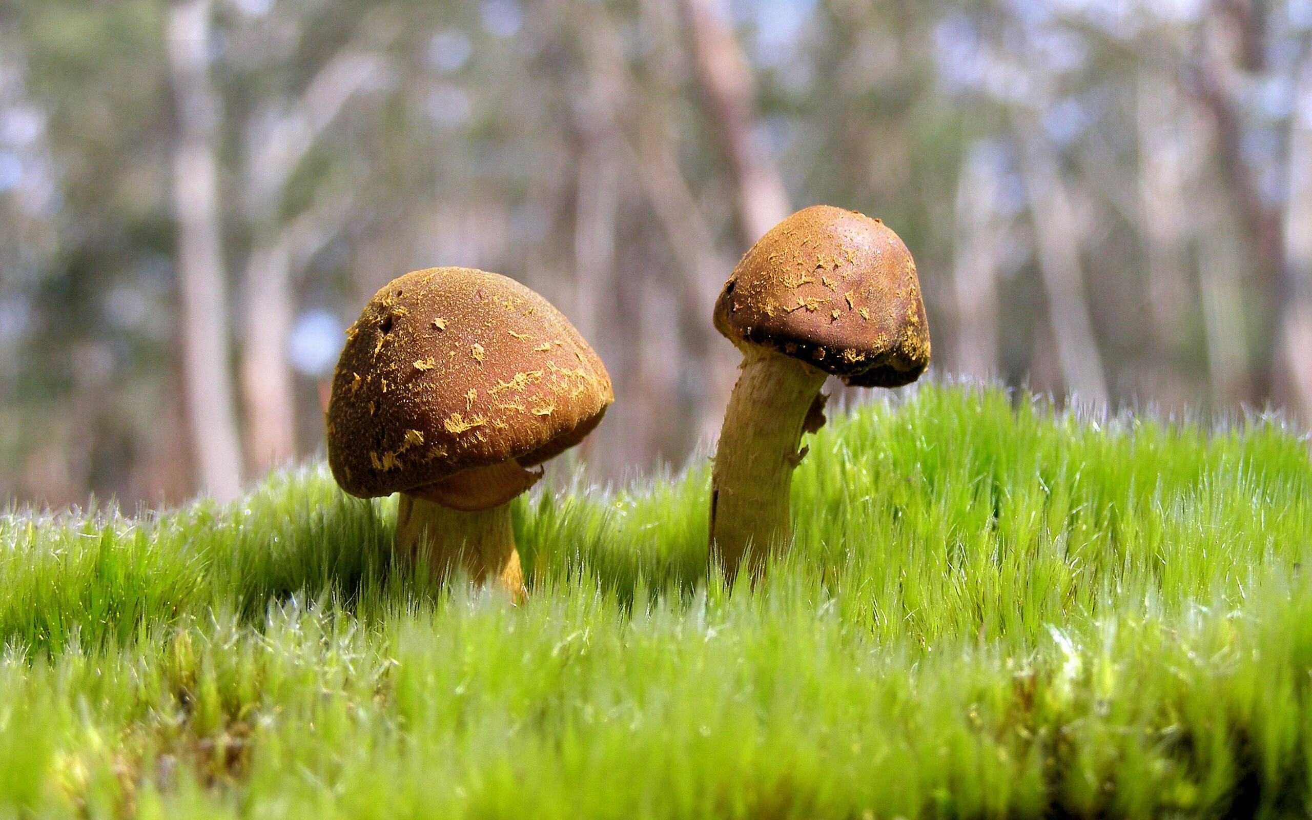 朱婷伤后首次亮相状态稳中有升,朱婷 伤