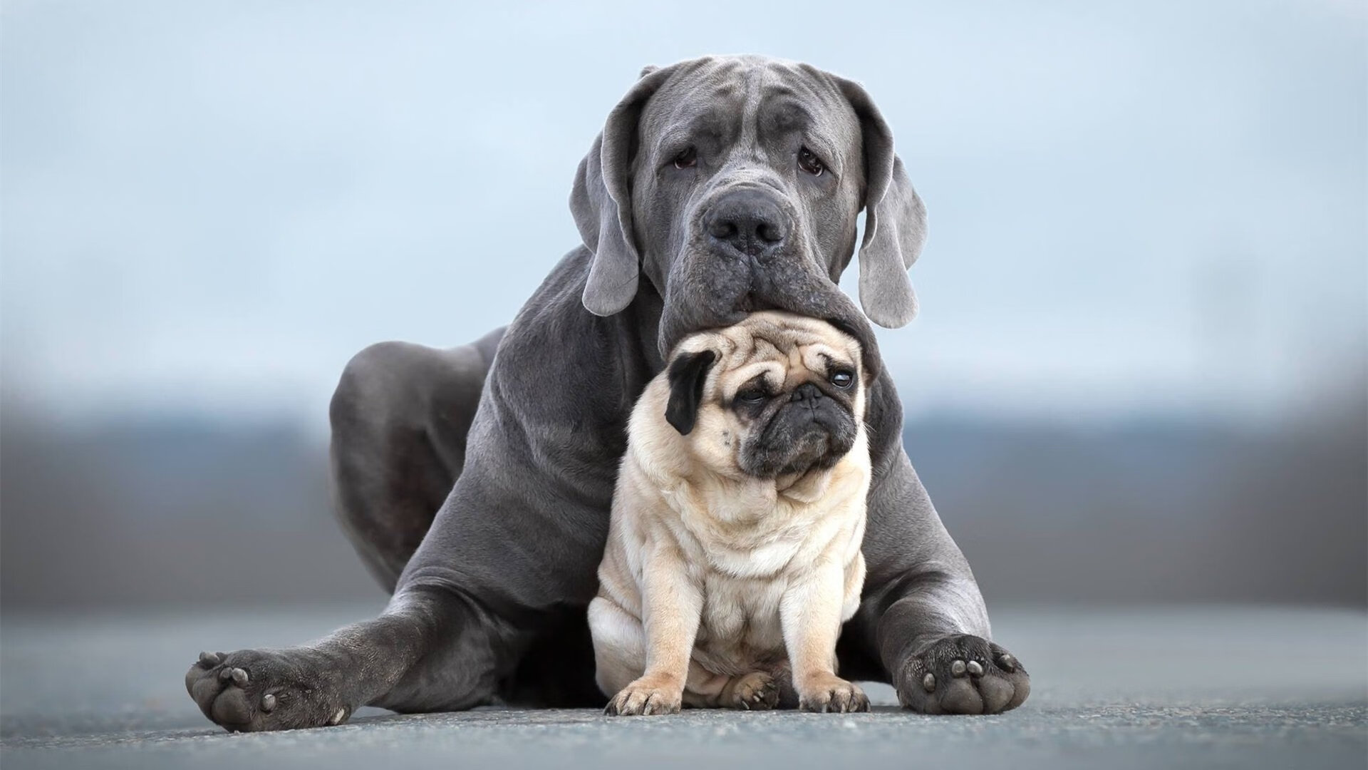 西甲联赛官方合作伙伴介绍，西甲联赛球队排名