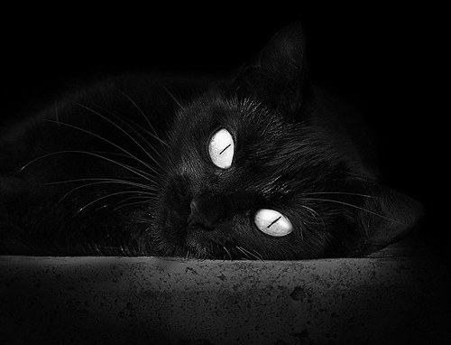 青训教练赴欧洲深造学习先进篮球理念促进中欧交流，欧洲篮球训练体系