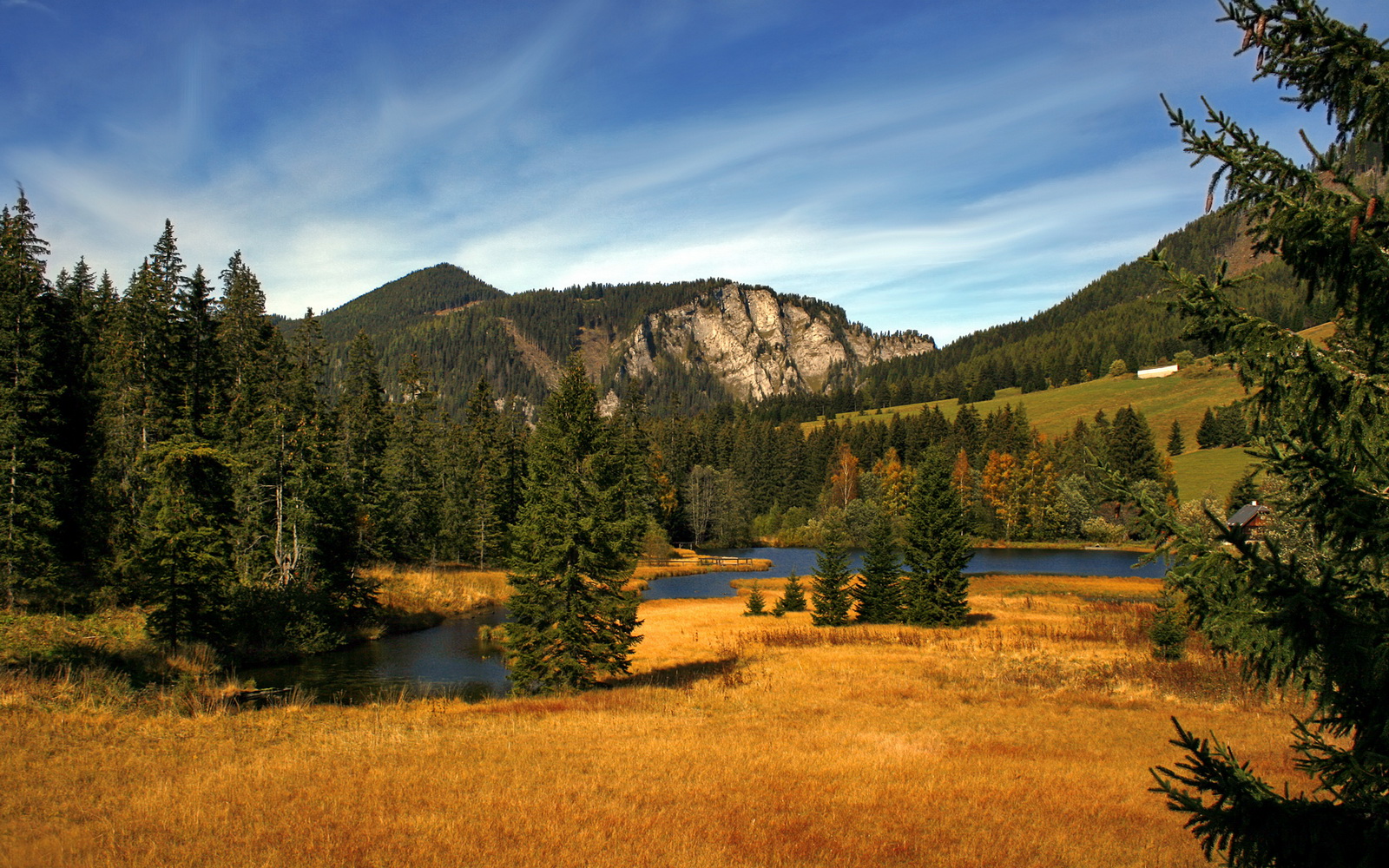 开云体育APP下载-黎巴嫩男篮在西亚锦标赛中的精彩表现，逐步迈向奥运梦，黎巴嫩篮球队什么水平